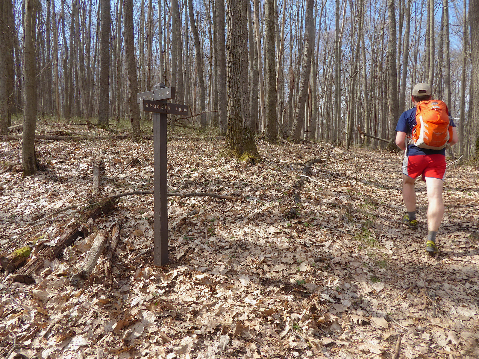 Plan An Adventure In Quebec Run Wild Area, Pennsylvania