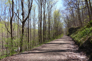Indian Creek Valley Trail: Walking and Riding in Laurel Highlands, PA