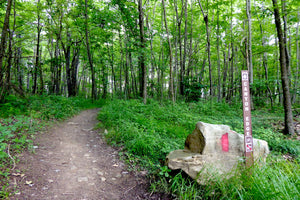 Sugarloaf Knob: Mountain Biking In Ohiopyle State Park, PA