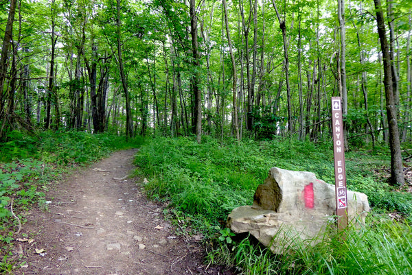 Sugarloaf Knob: Mountain Biking In Ohiopyle State Park, PA