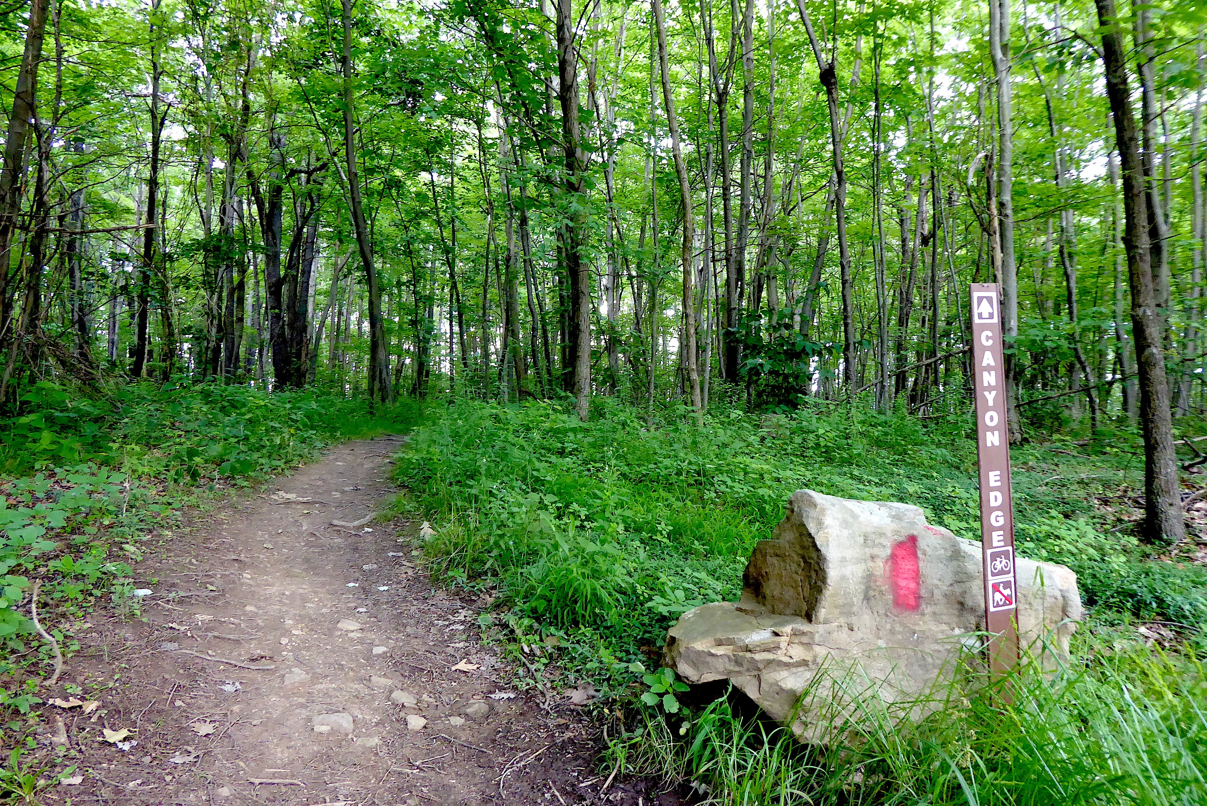 P1150193_4000x.JPG?v=1562158055