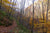 Explore a 15-mile Hiking and Running Loop Around Slate Run, PA