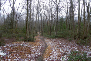 Sand Mountain Trail System: Your New Favorite Winter Adventure Destination