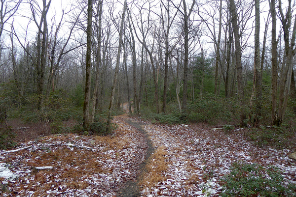 Sand Mountain Trail System: Your New Favorite Winter Adventure Destination