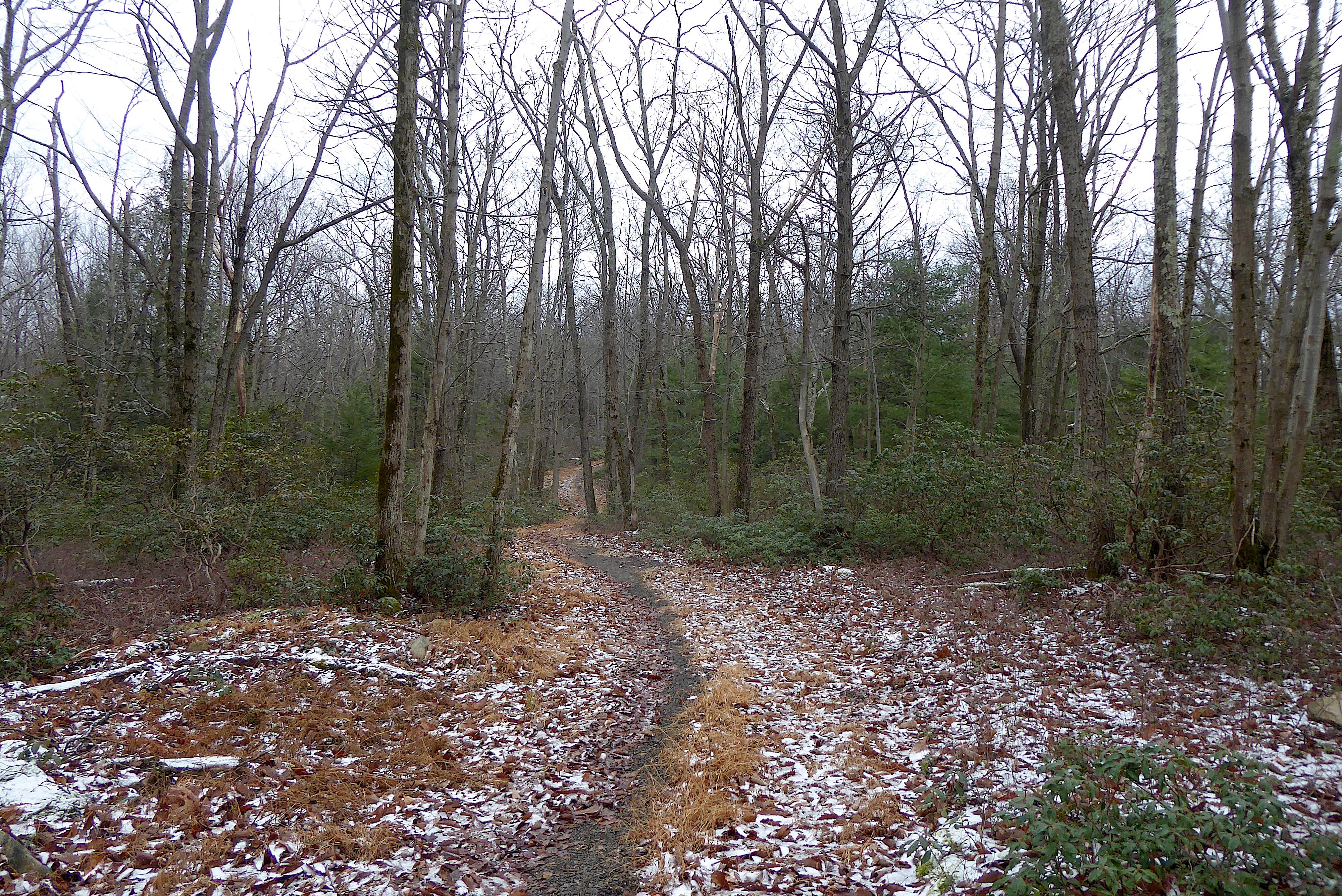 Sand Mountain Trail System: Your New Favorite Winter Adventure