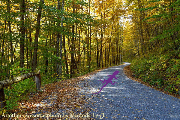 Four Fall Adventures in Pennsylvania