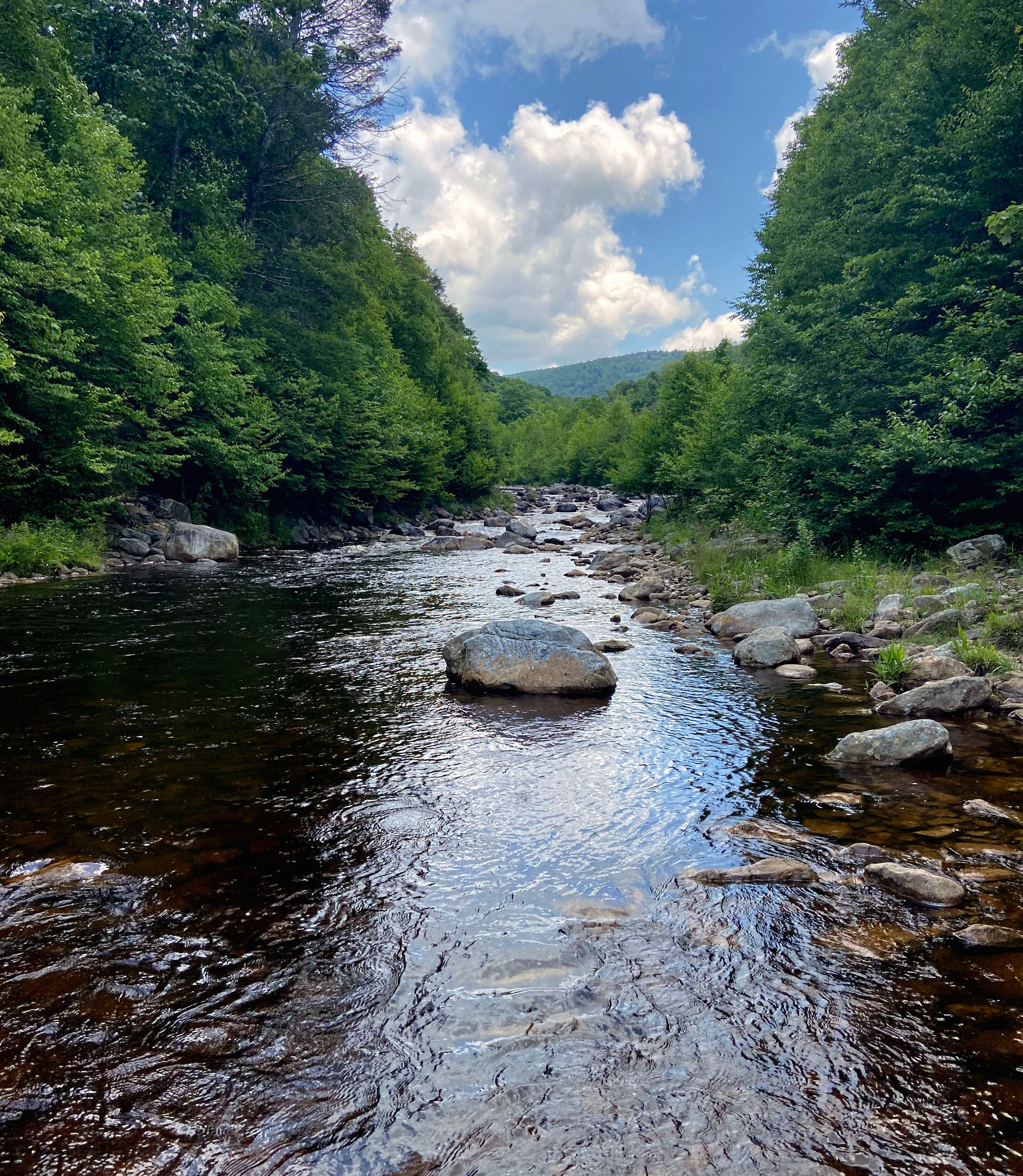 A Monongahela National Forest West Virginia Dream Hike
