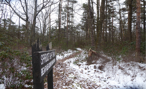Reach The Top: An Introduction To Spruce Gap Trail In Rothrock State Forest, PA