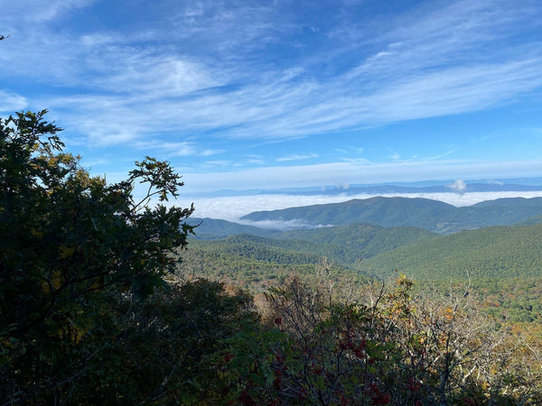 Summer Adventures in Shenandoah National Park with Purple Lizard Maps