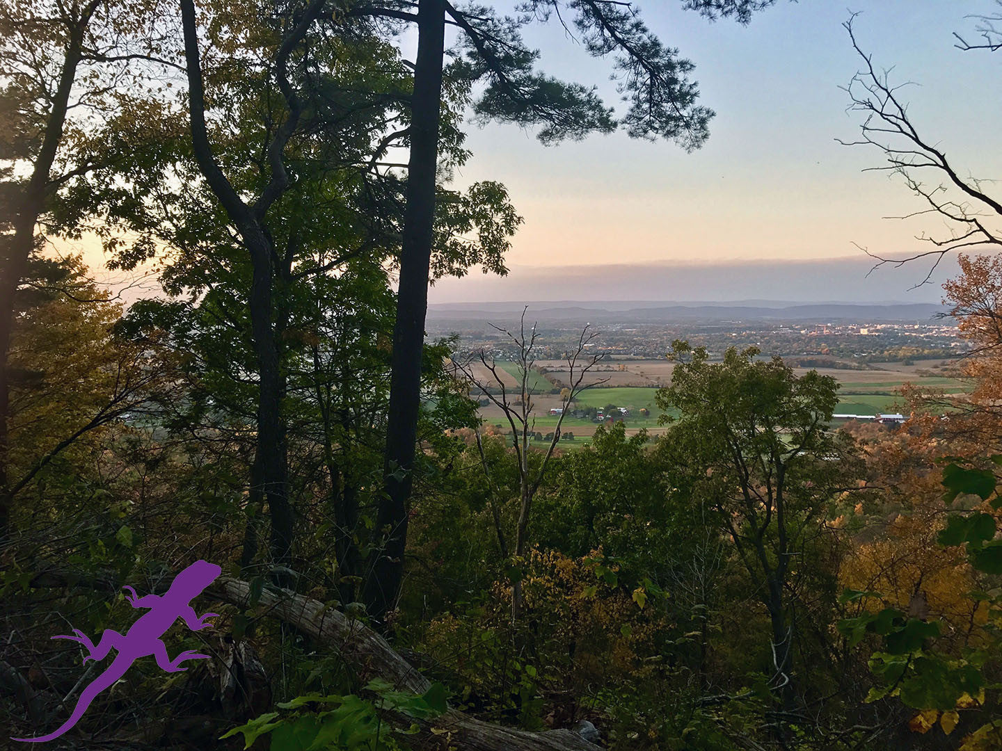 Lion’s Valley Vista and the Huckleberry Loop: Hike Musser Gap in State College, PA