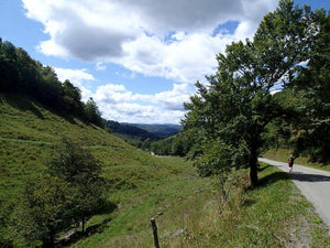 Exploring Allegheny Trail Along Glady Fork River, WV