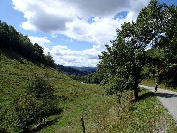 Exploring Allegheny Trail Along Glady Fork River, WV
