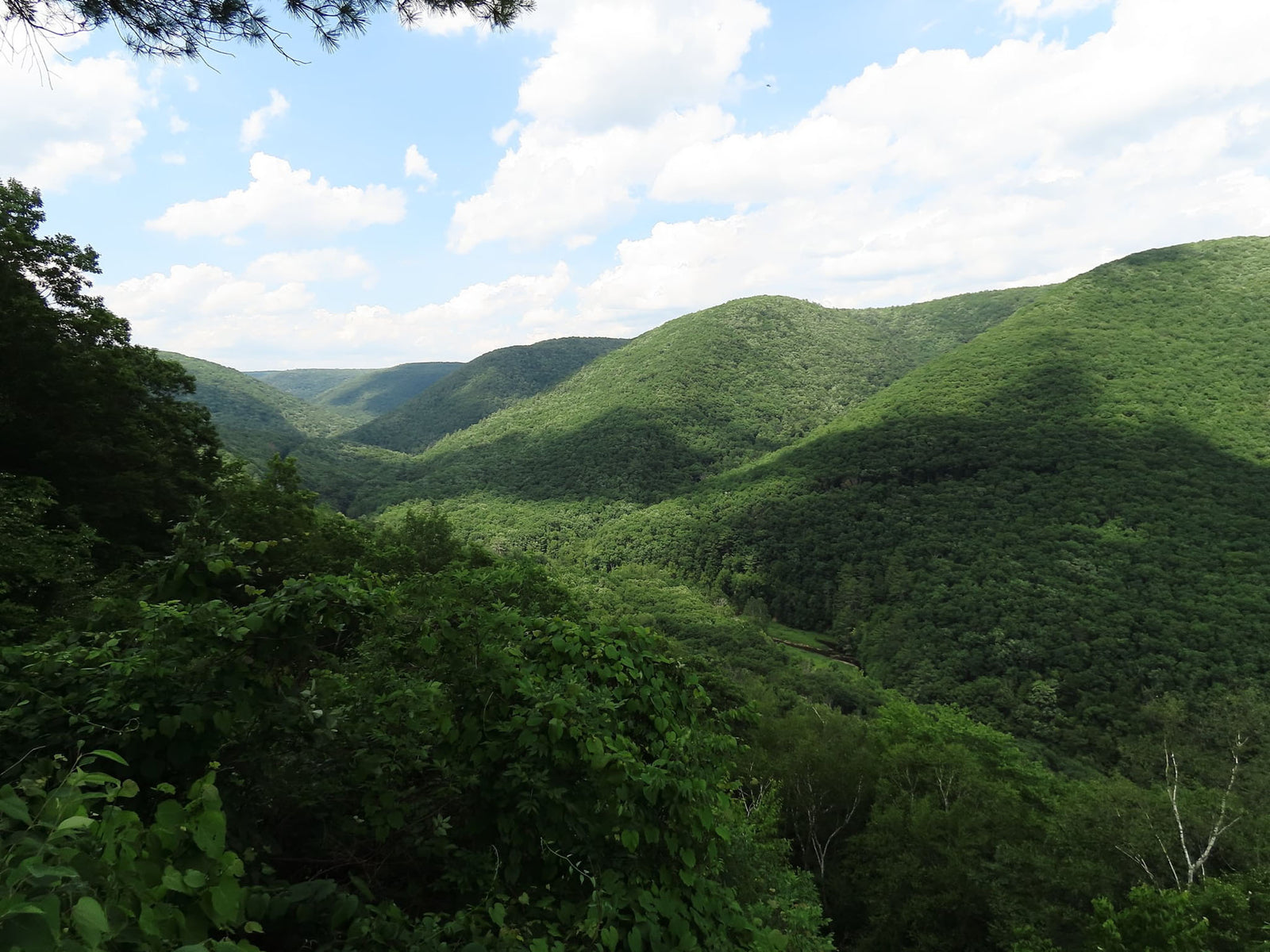 Backpacking the Black Forest Trail in Pine Creek