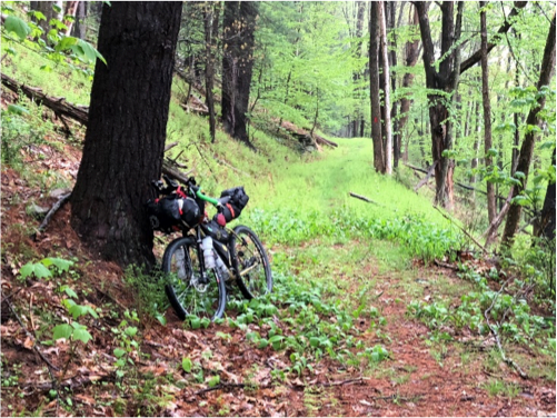 Bikepacking in Tiadaghton State Forest, Pennsylvania