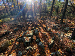 Spooky Hikes with Purple Lizard Maps