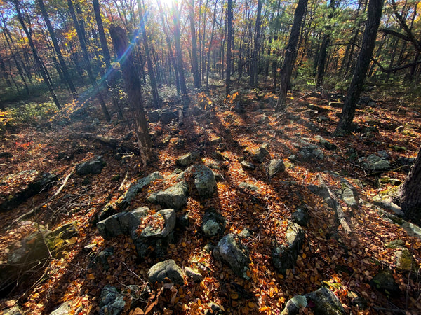 Spooky Hikes with Purple Lizard Maps