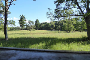 Exploring Quehanna Highway: Hoover Farm Viewing Area
