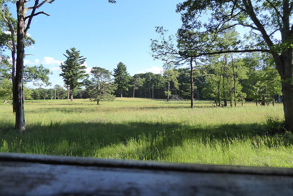 Exploring Quehanna Highway: Hoover Farm Viewing Area