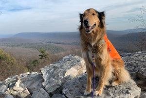 Hiking, Biking, and Running, Oh My! How to Stay Safe on Public Lands During Hunting Season