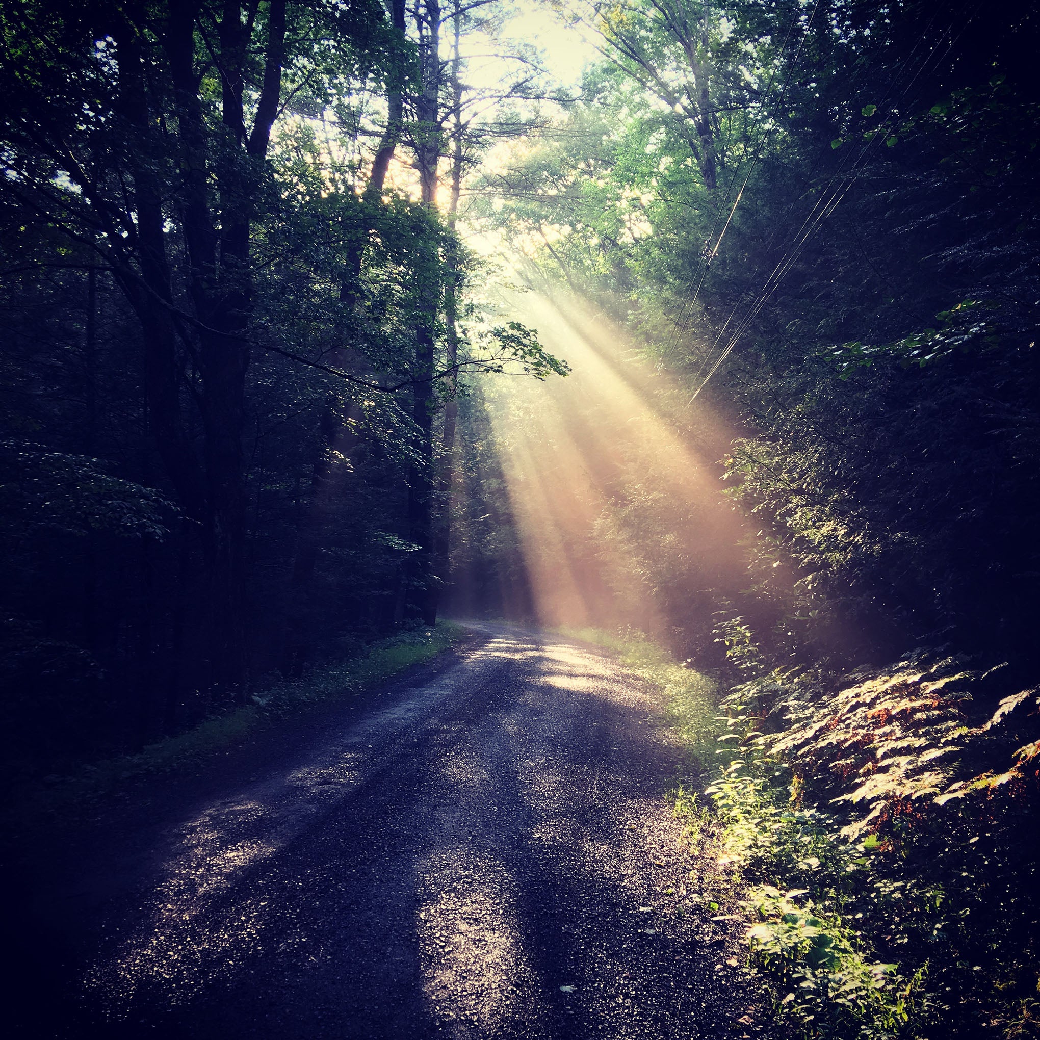 sunbeam_magic.jpg?v=1532997860