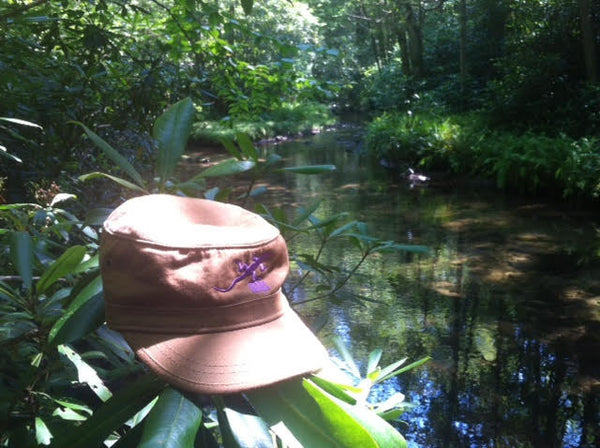 Holiday Reflections from The Lizard