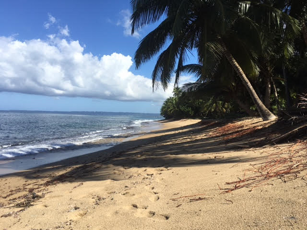 Plan your Rincon, Puerto Rico Escape