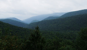 Exploring the Southern Frontier of Bald Eagle State Forest: Milroy to Millheim, PA
