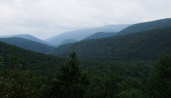 Exploring the Southern Frontier of Bald Eagle State Forest: Milroy to Millheim, PA