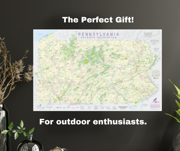 What's New from Purple Lizard?