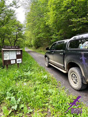 Dark Skies / Susquehannock State Forest Lizard Map