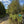 Dark Skies / Susquehannock State Forest Lizard Map