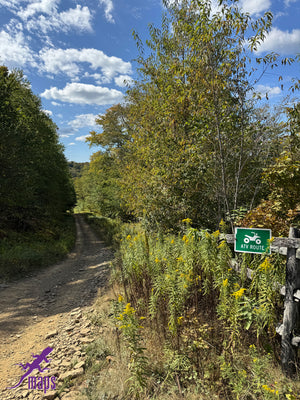 Dark Skies / Susquehannock State Forest Lizard Map