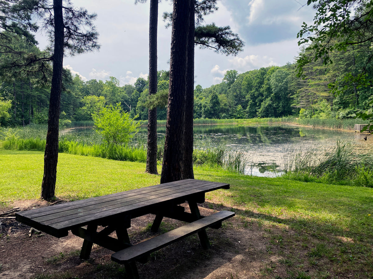 Athens-Zaleski Lizard Map, Ohio