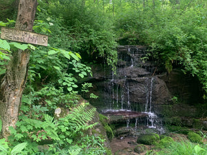 Deep Creek - Savage River State Forest: Maryland Map