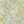 Dark Skies / Susquehannock State Forest Lizard Map