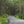 Dark Skies / Susquehannock State Forest Lizard Map