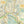 Dark Skies / Susquehannock State Forest Lizard Map