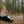 Dark Skies / Susquehannock State Forest Lizard Map