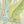 Deep Creek - Savage River State Forest: Maryland Map