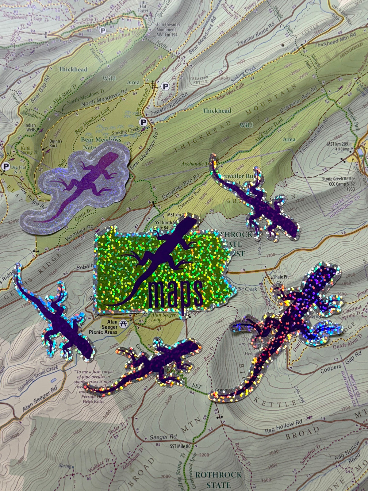 Glitter Lizard Sticker Pack