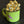 The BIG Lizard Mug