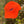 Lizard Performance Trail Cap