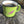 The BIG Lizard Mug