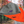 Lizard Fleece Hat
