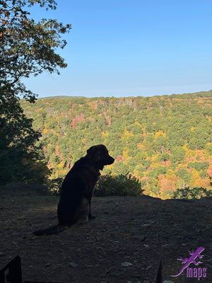 Dark Skies / Susquehannock State Forest Lizard Map