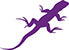 Purple Lizard Maps