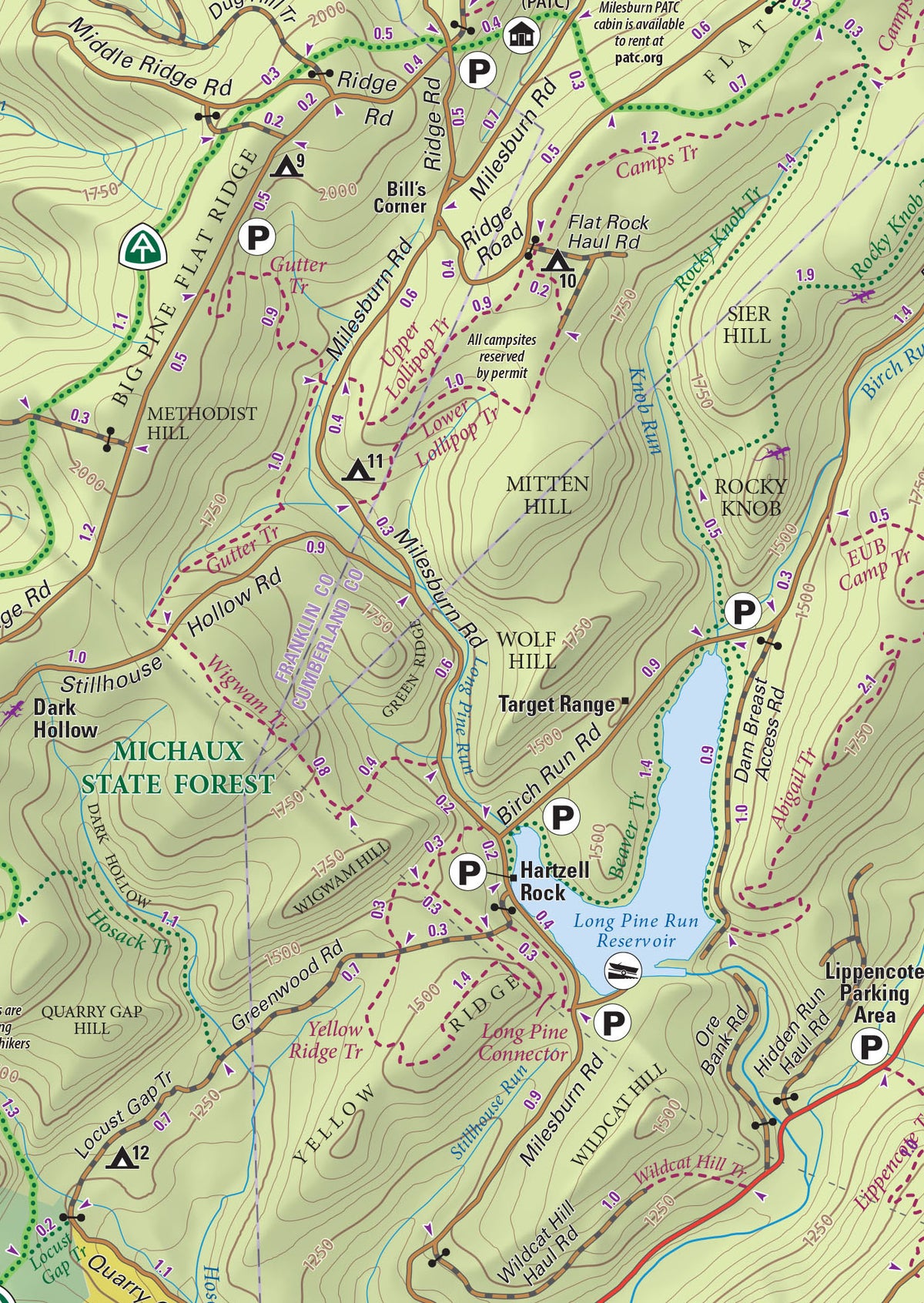 Michaux Lizard Map, Pennsylvania