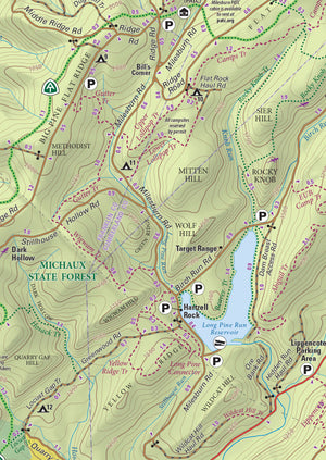 Michaux Lizard Map, Pennsylvania