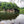 Deep Creek - Savage River State Forest: Maryland Map