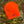 Lizard Fleece Hat